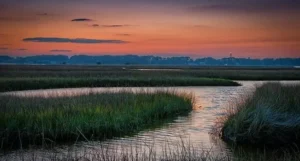 Coastal Panacea Florida, affordable Gulf living and Old Florida fishing village