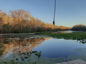 Image of Lake Wacissa