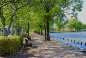 Zolfo Springs, Florida