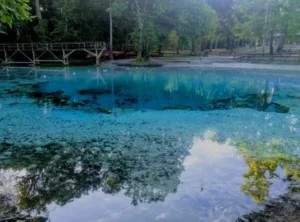 Image of Ginnie Springs located in Alachua County, Florida