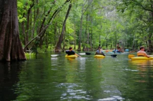 Ichetucknee Springs near Fort White Florida, world-famous spring tubing and crystal waters