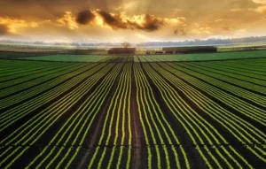 Rural Indiantown Florida, affordable agricultural community in Martin County