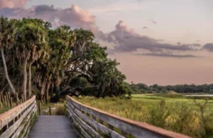 Myakka River State Park near North Port Florida, wilderness recreation