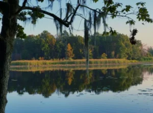Fishing on Lake Seminole Sneads Florida, bass fishing paradise and subsistence living