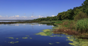 Deltona Florida lakes throughout community waterfront areas large residential middle-class inland retirement