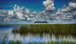 Lake Trafford Immokalee Florida natural recreation fishing rural working-class outdoor activities