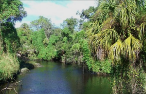 Manatee River Palmetto Florida small coastal city riverfront working-class retirement affordable