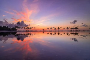 Palm Beach Gardens Florida very high homeownership 75% exceptional stability among highest Palm Beach County planned community