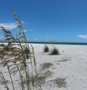 Tigertail Beach Marco Island Florida pristine Gulf of Mexico barrier island world-class beaches upscale resort